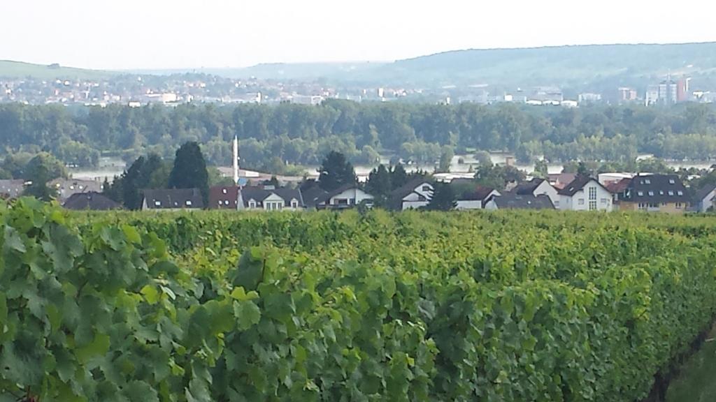 Ferienwohnung Weingut Leis Oestrich-Winkel Zimmer foto